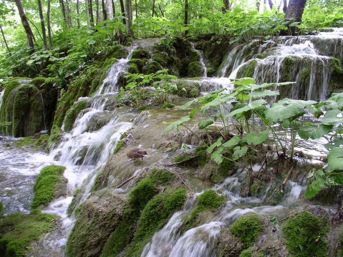 Accommodation Plitvice Korenica Εξωτερικό φωτογραφία
